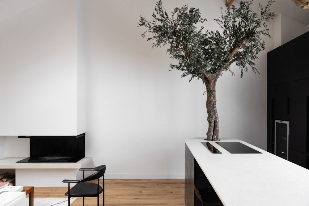 saussure Atelier Leymarie Gourdon