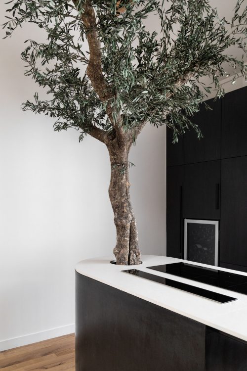 saussure Atelier Leymarie Gourdon